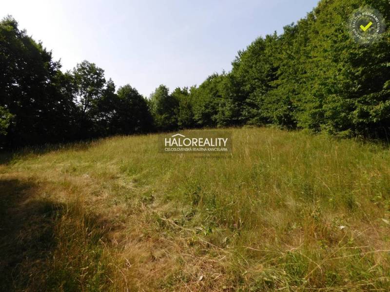 Banská Štiavnica Land – for living Sale reality Banská Štiavnica