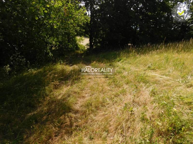 Banská Štiavnica Land – for living Sale reality Banská Štiavnica