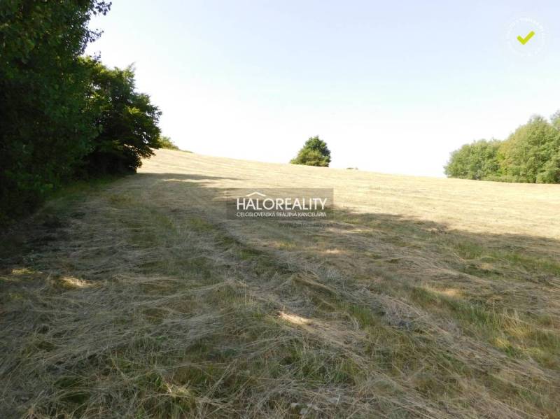 Banská Štiavnica Land – for living Sale reality Banská Štiavnica