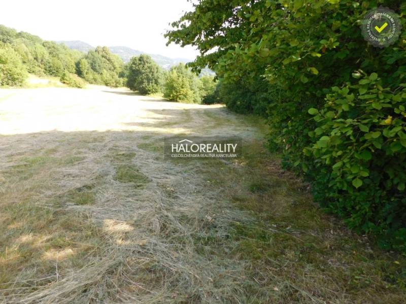 Banská Štiavnica Land – for living Sale reality Banská Štiavnica