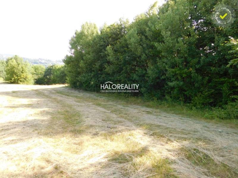 Banská Štiavnica Land – for living Sale reality Banská Štiavnica