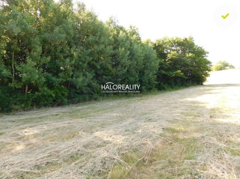 Banská Štiavnica Land – for living Sale reality Banská Štiavnica