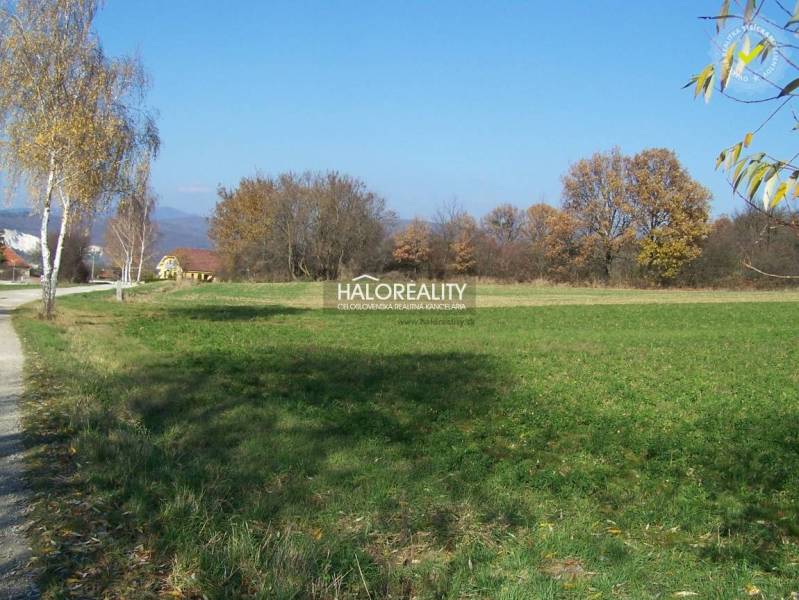 Oslany Land – for living Sale reality Prievidza