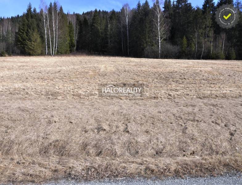 Nálepkovo Land – for living Sale reality Gelnica