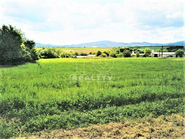 Tvrdomestice Land – for living Sale reality Topoľčany