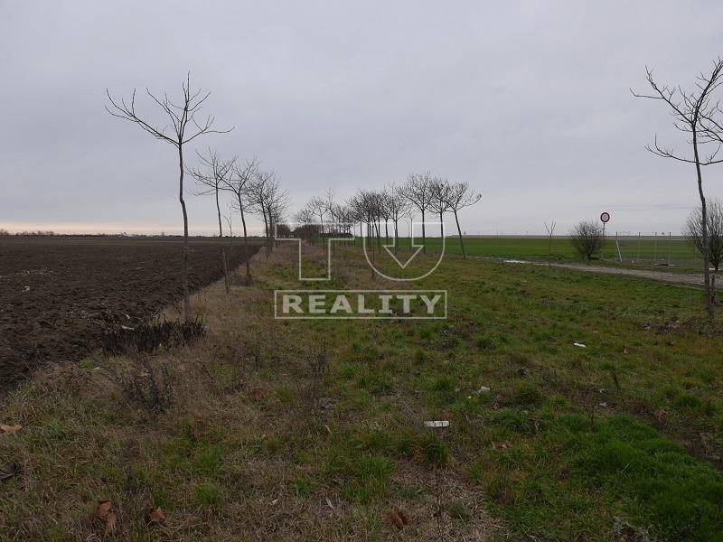 Bratislava - Jarovce Agrarian and forest land Sale reality Bratislava - Jarovce