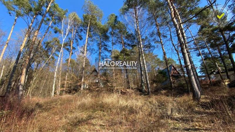 Nová Kelča Recreational land Sale reality Vranov nad Topľou