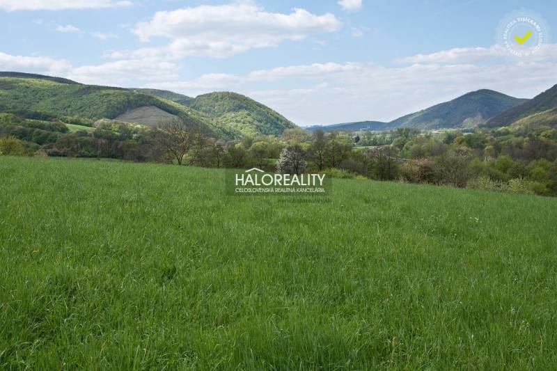 Tekovská Breznica Recreational land Sale reality Žarnovica