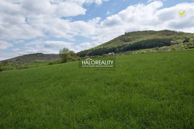 Tekovská Breznica Recreational land Sale reality Žarnovica