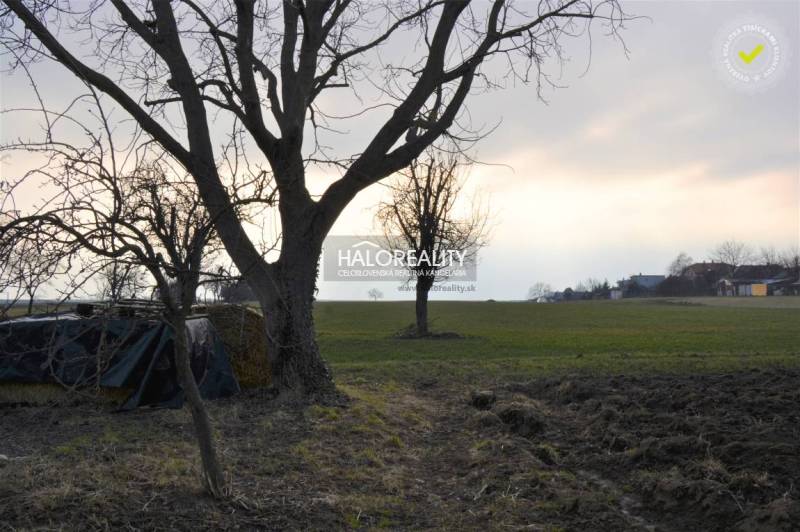 Radošina Family house Sale reality Topoľčany