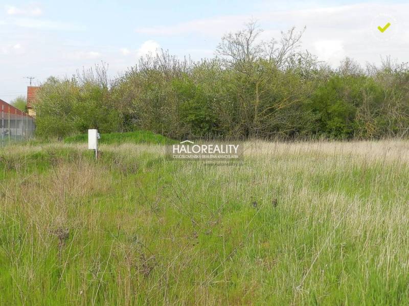 Lehnice Land – for living Sale reality Dunajská Streda