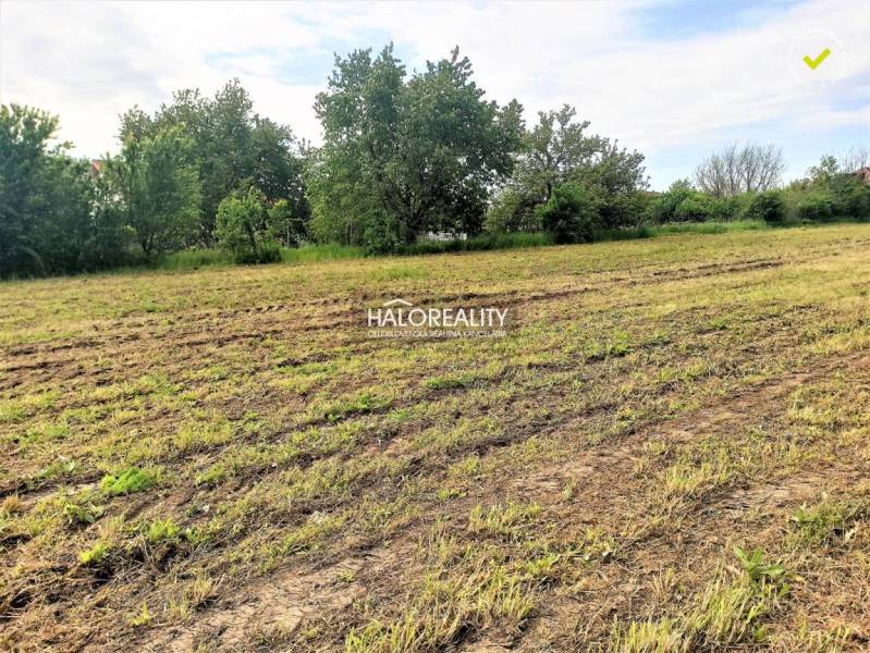 Semerovo Land – for living Sale reality Nové Zámky