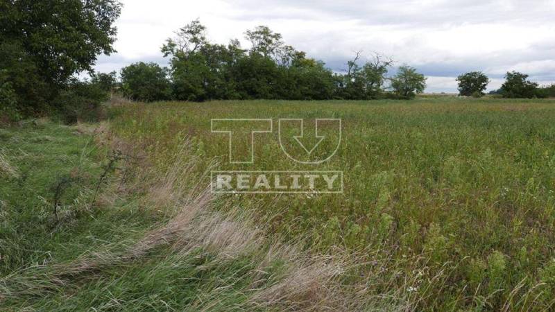 Hurbanova Ves Land – for living Sale reality Senec