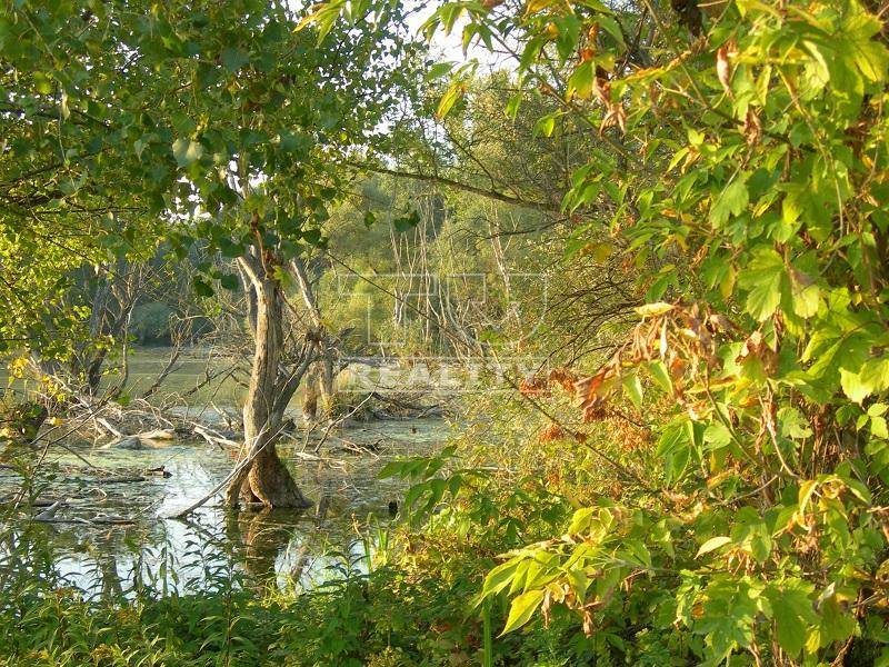 Gabčíkovo Recreational land Sale reality Dunajská Streda