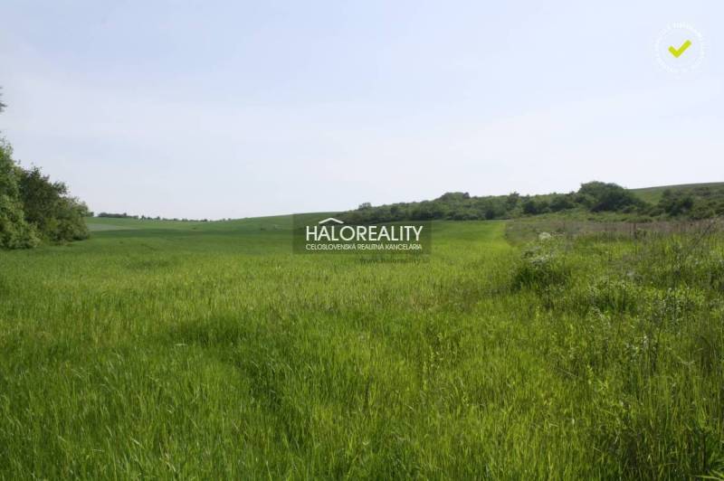 Rozhanovce Agrarian and forest land Sale reality Košice-okolie