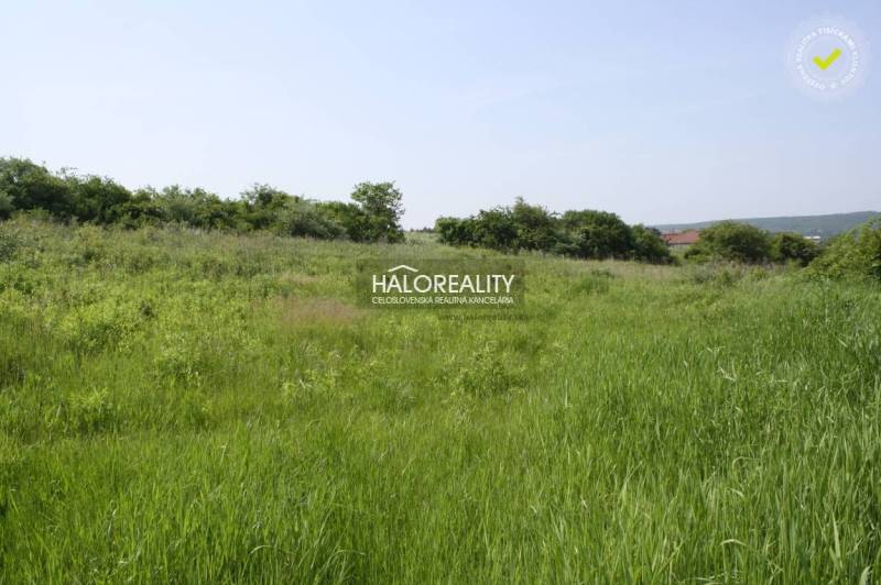 Rozhanovce Agrarian and forest land Sale reality Košice-okolie