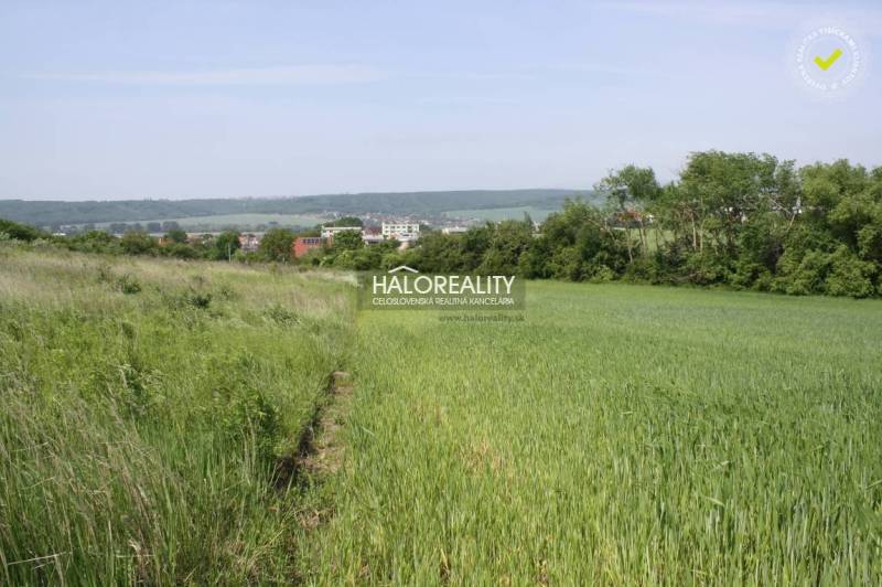 Rozhanovce Agrarian and forest land Sale reality Košice-okolie