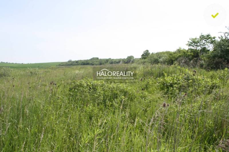 Rozhanovce Agrarian and forest land Sale reality Košice-okolie