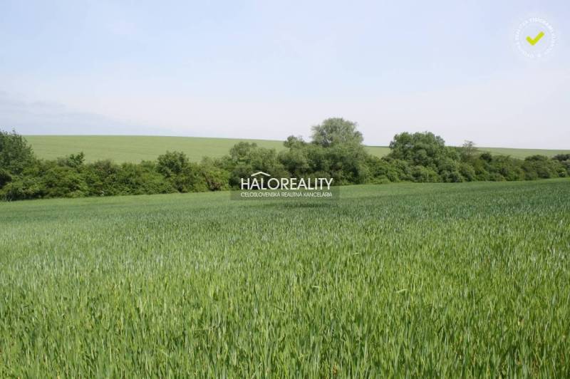 Rozhanovce Agrarian and forest land Sale reality Košice-okolie