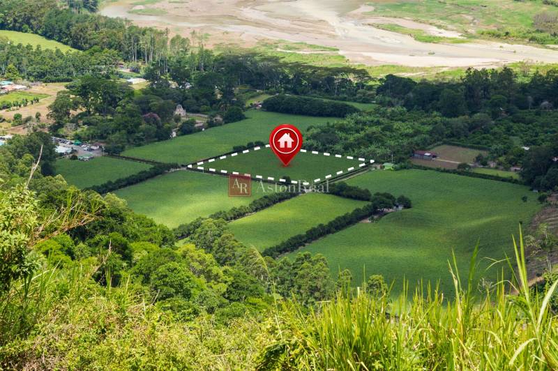 view-land-plot-real-estate-business-development.jpg