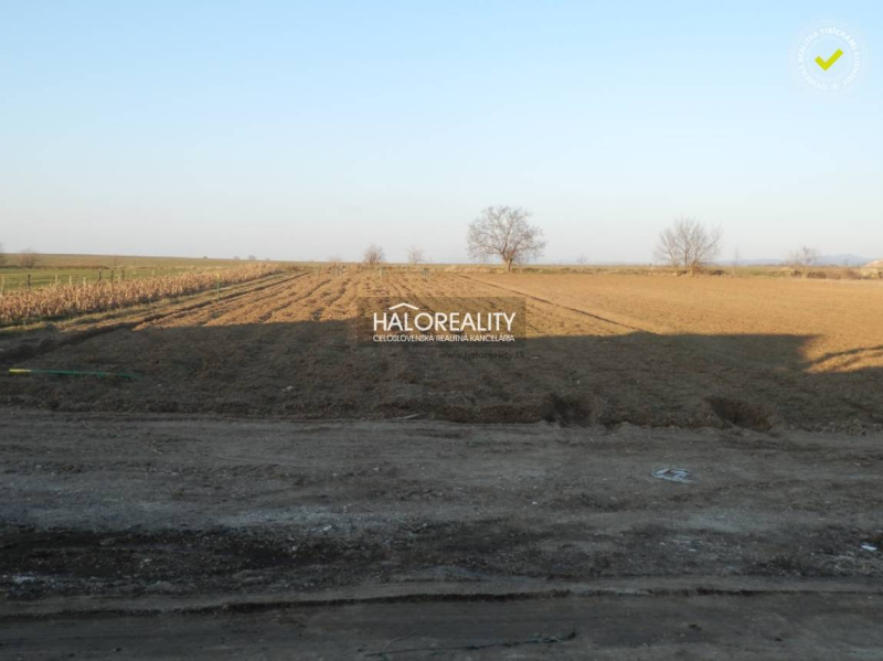 Veľké Kostoľany Land – for living Sale reality Piešťany