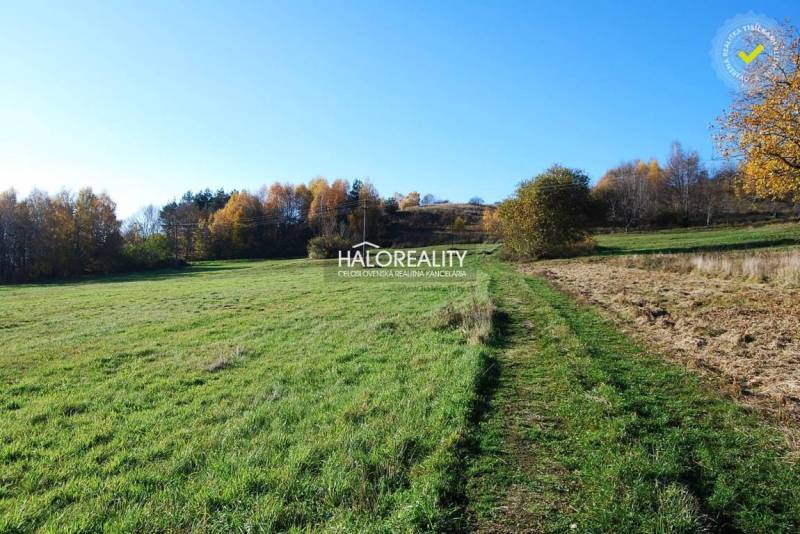 Veľká Lehota Land – for living Sale reality Žarnovica