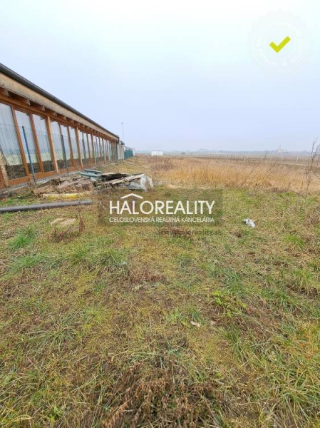 Veľký Biel Recreational land Sale reality Senec