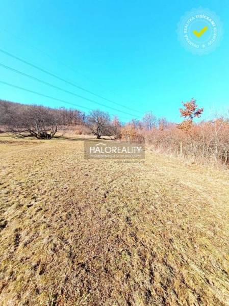 Devičany Recreational land Sale reality Levice