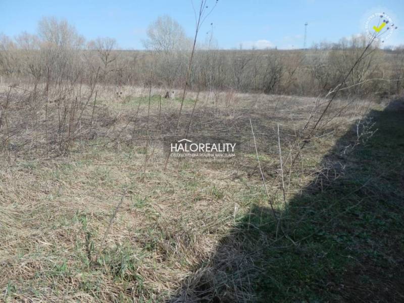 Bojničky Land – for living Sale reality Hlohovec