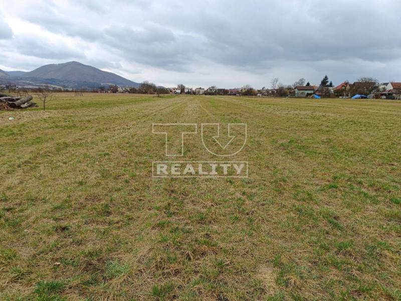 Beluša Land plots - commercial Sale reality Púchov