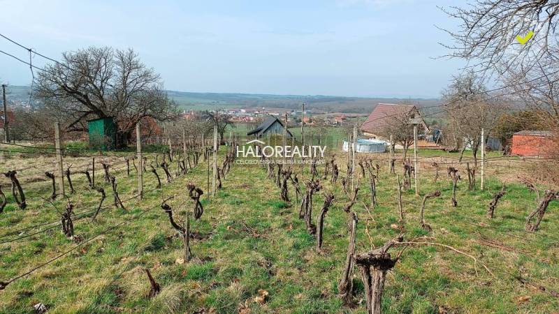 Žemberovce Recreational land Sale reality Levice