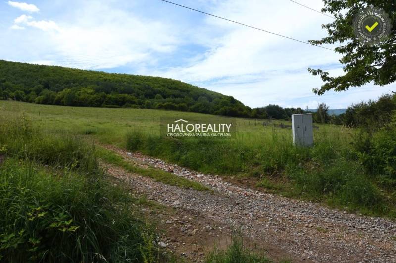 Hrabičov Recreational land Sale reality Žarnovica