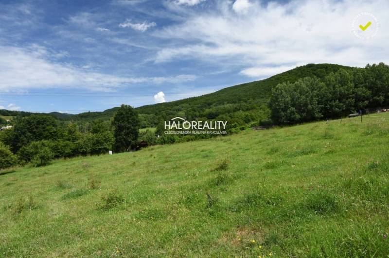 Hrabičov Recreational land Sale reality Žarnovica