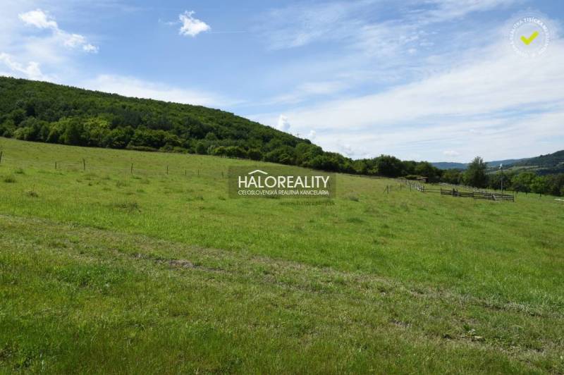 Hrabičov Recreational land Sale reality Žarnovica