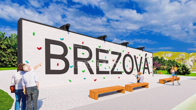 Brezová pod Bradlom Recreational land Sale reality Myjava