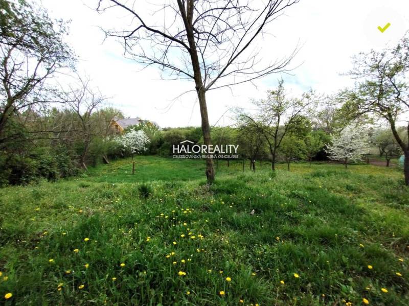 Jur nad Hronom Land – for living Sale reality Levice