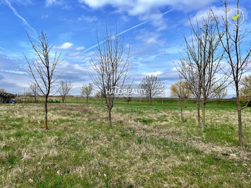 Horná Seč Land – for living Sale reality Levice