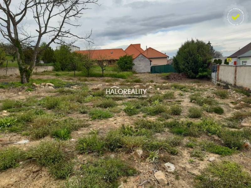 Krušovce Land – for living Sale reality Topoľčany