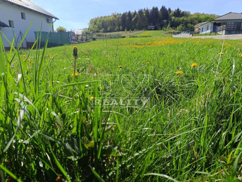 Sverepec Land – for living Sale reality Považská Bystrica