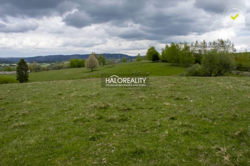 Detvianska Huta Recreational land Sale reality Detva