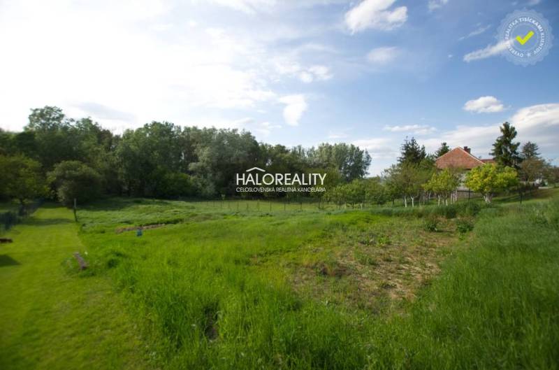 Čermany Land – for living Sale reality Topoľčany