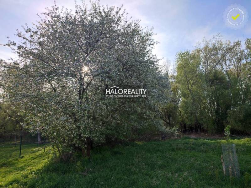 Čermany Land – for living Sale reality Topoľčany