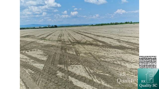 Bernolákovo Agrarian and forest land Sale reality Senec