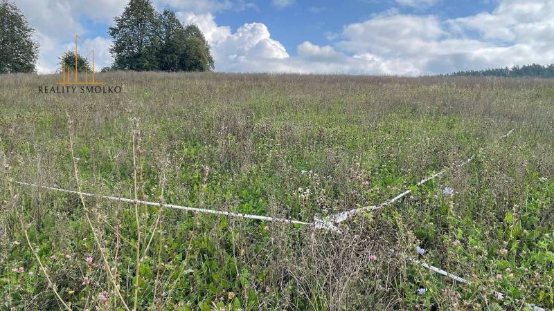 Široké Agrarian and forest land Sale reality Prešov