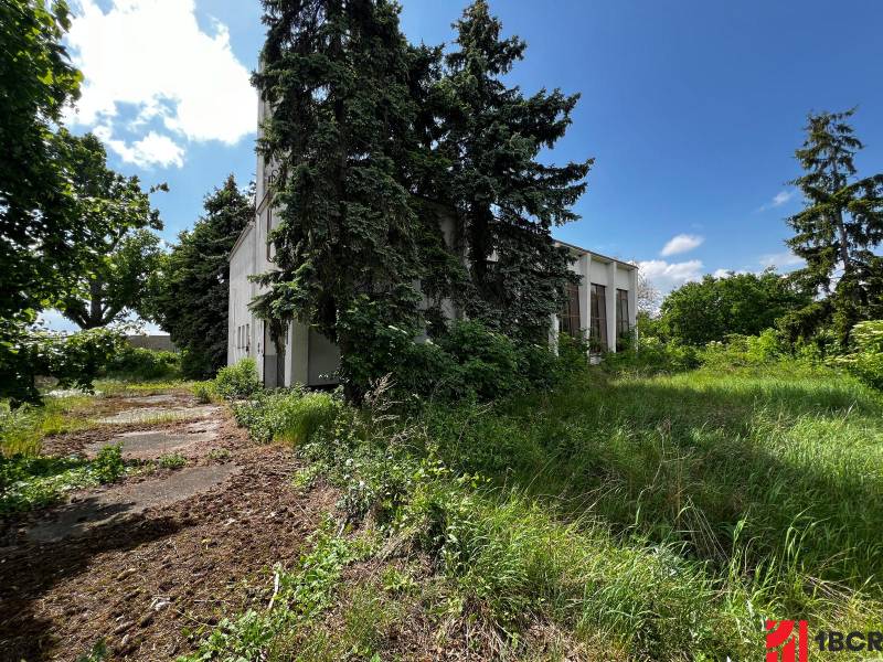 Sale Land – for living, Land – for living, Dunajská Streda, Slovakia