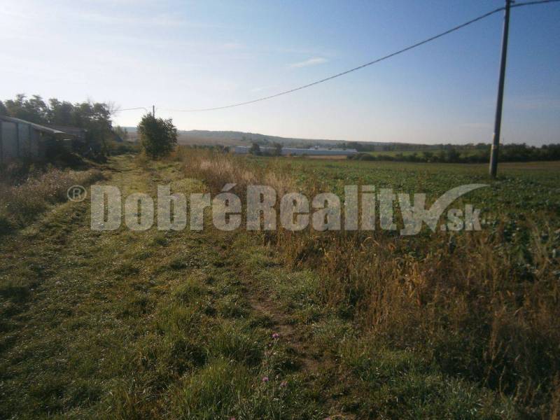 Rumanová Land – for living Sale reality Nitra