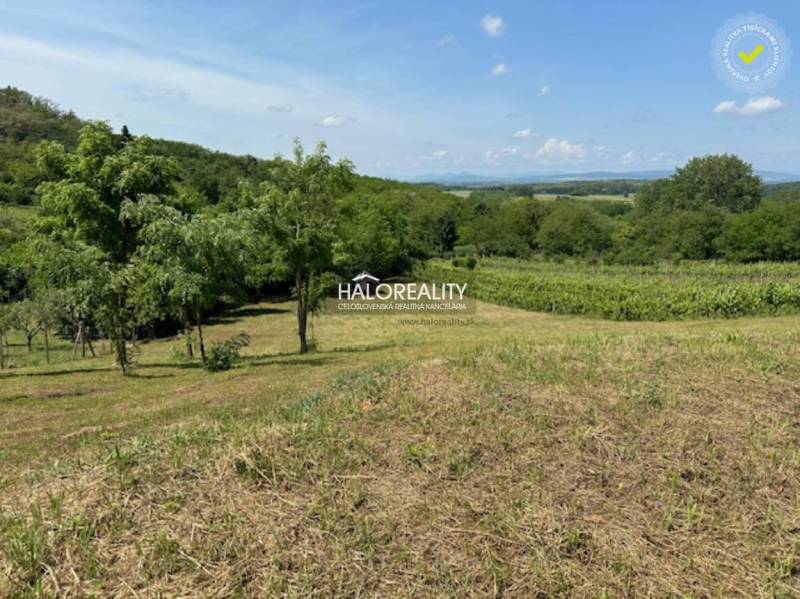 Kráľovský Chlmec Recreational land Sale reality Trebišov