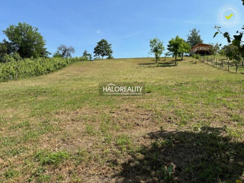 Kráľovský Chlmec Recreational land Sale reality Trebišov