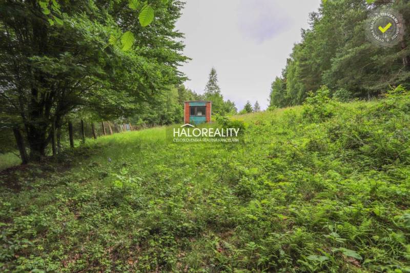 Považská Bystrica Agrarian and forest land Sale reality Považská Bystrica