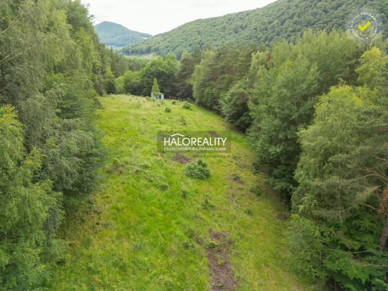 Považská Bystrica Agrarian and forest land Sale reality Považská Bystrica